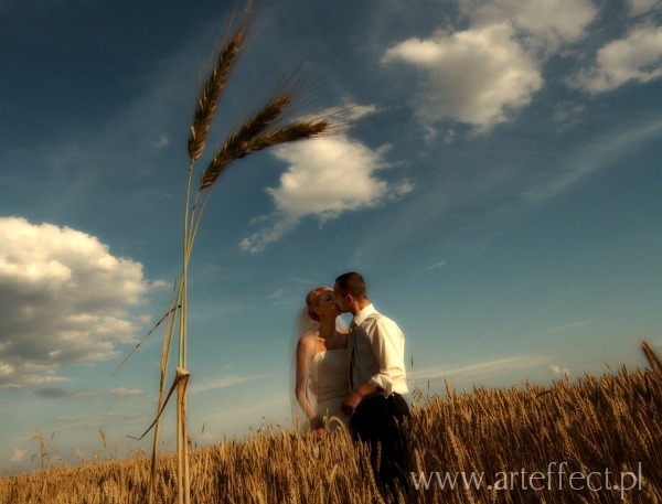 Fotografie lubne Opole kosci MB Bolesnej Na grce fotograf: Adam Miozga